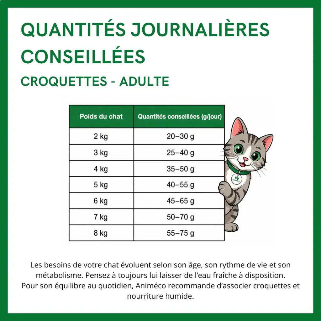 transition poulet copie.webp