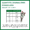 transition poulet copie.webp