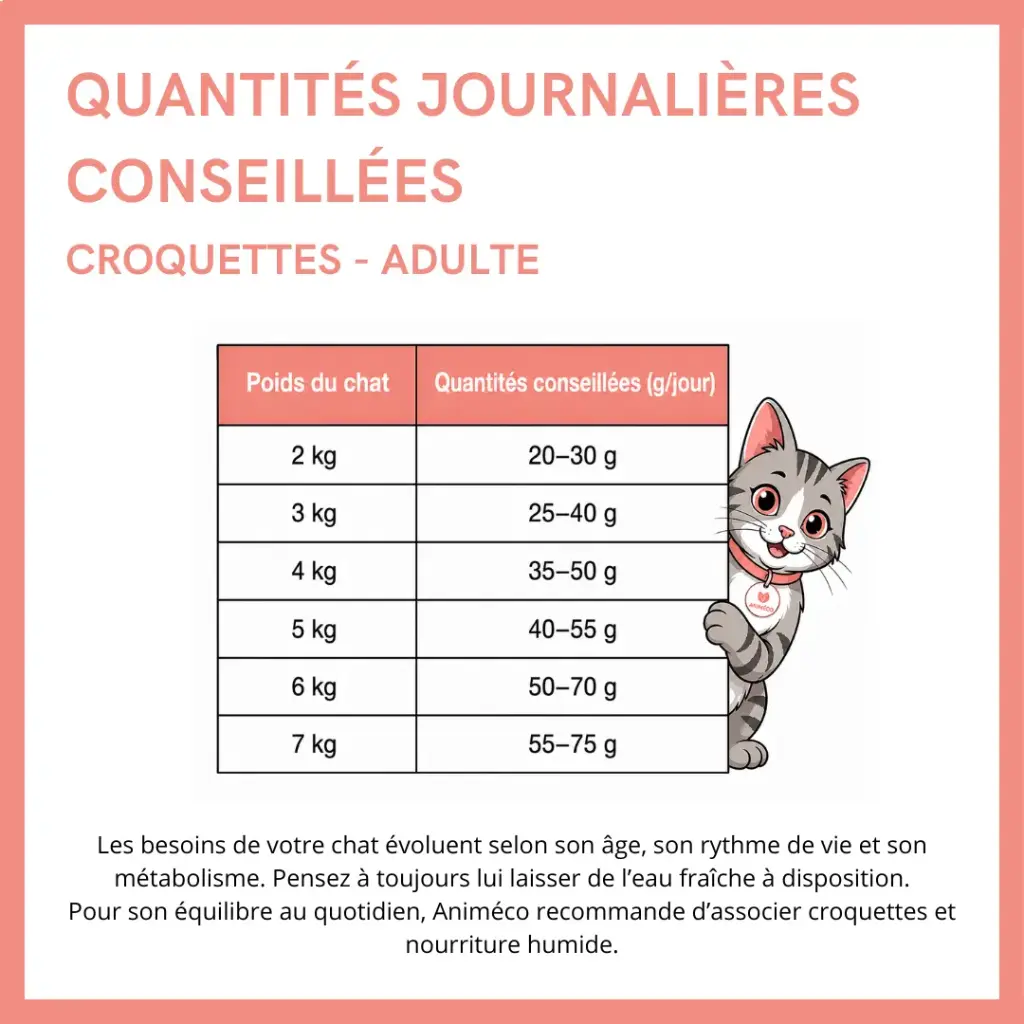 transiton poiusson copie.webp