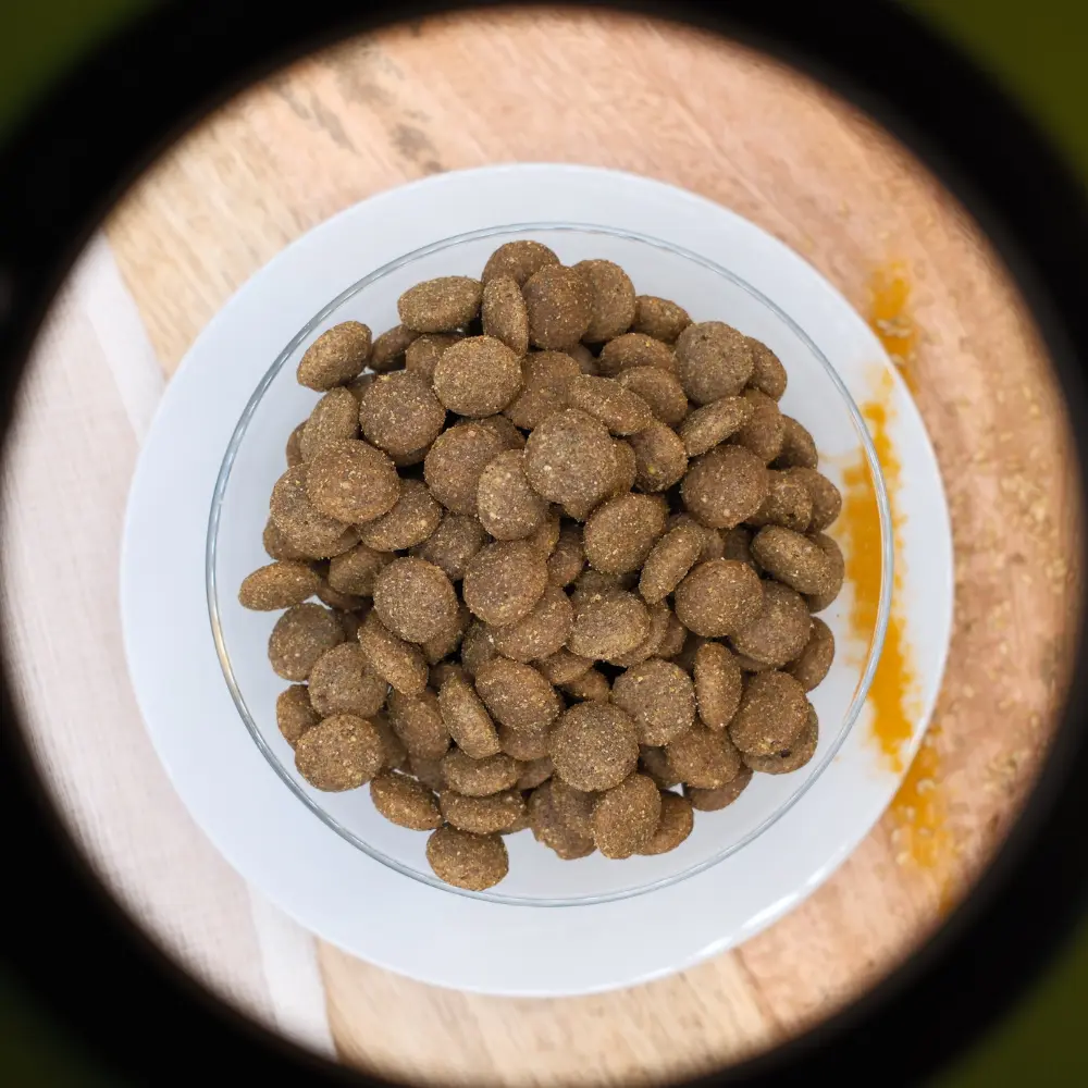 🐶 Beutel mit Trockenfutter "Junior mit Huhn" für große Hunderassen