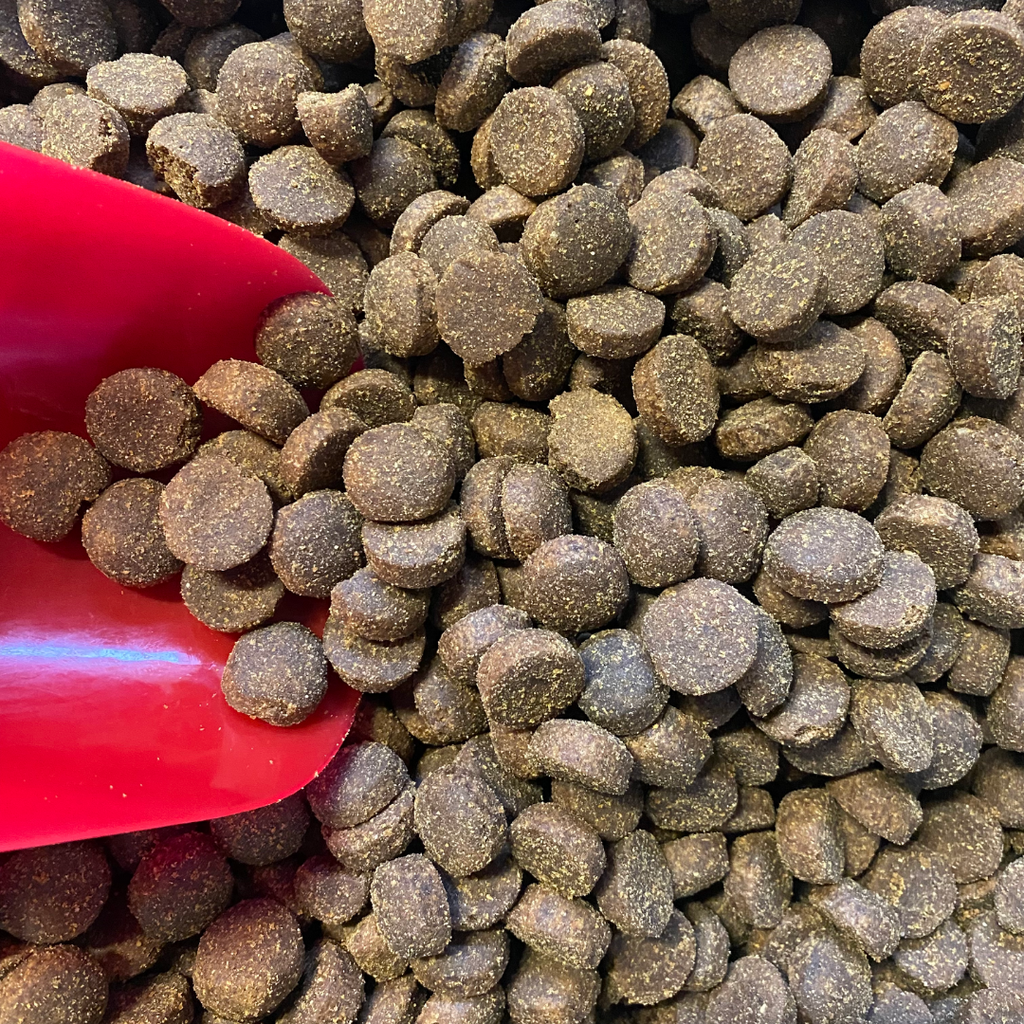 🐶 Croquettes au poulet adulte pour chien de grande taille (+ de 25 kg)