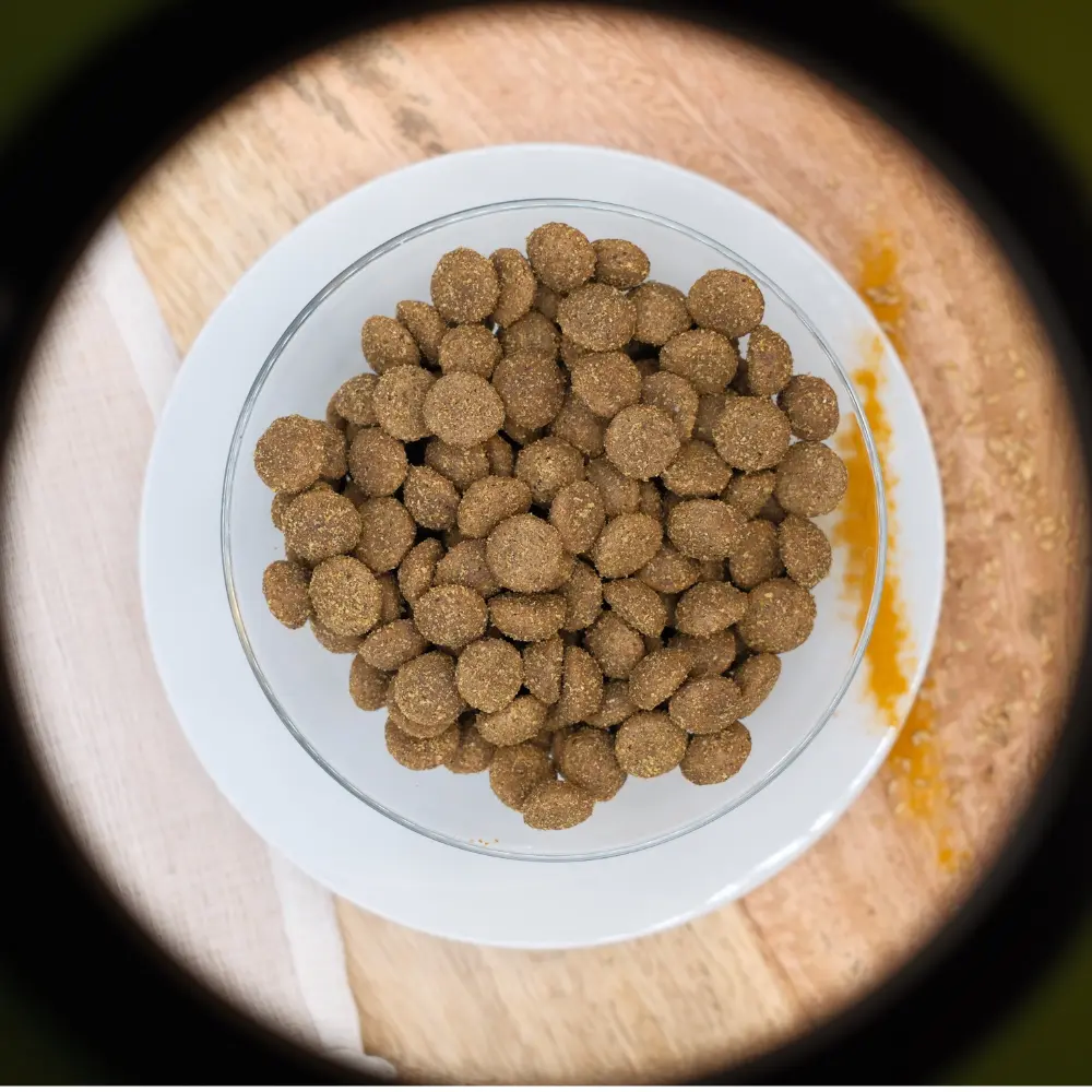 🐶 Beutel mit Trockenfutter "Adult mit Huhn für kleine und mittelgroße Hunderassen".