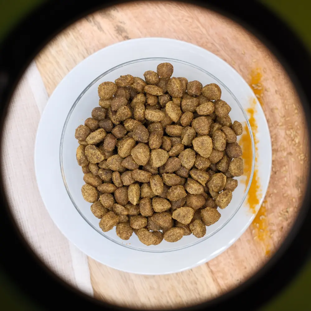 🐶 Croquettes au porc adulte sans céréales pour toutes races