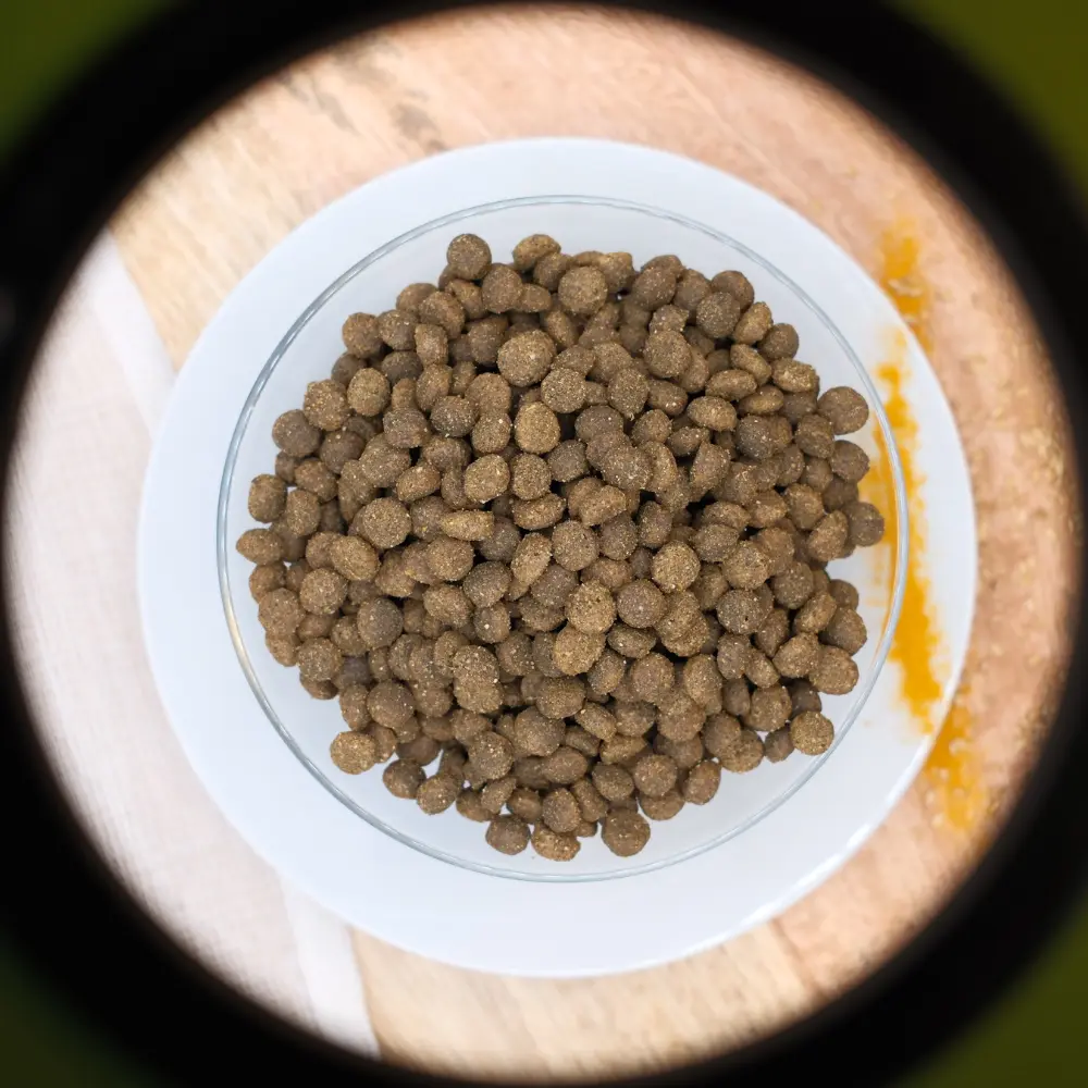 🐶 Beutel mit Trockenfutter für erwachsene Hunde von Zwergrassen und kleinen Rassen "Huhn Adult".