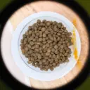 🐶 Beutel mit Trockenfutter für erwachsene Hunde von Zwergrassen und kleinen Rassen "Huhn Adult".