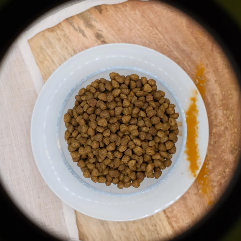 🐱Trockenfutterbeutel "Huhn Erwachsen" für Katzen