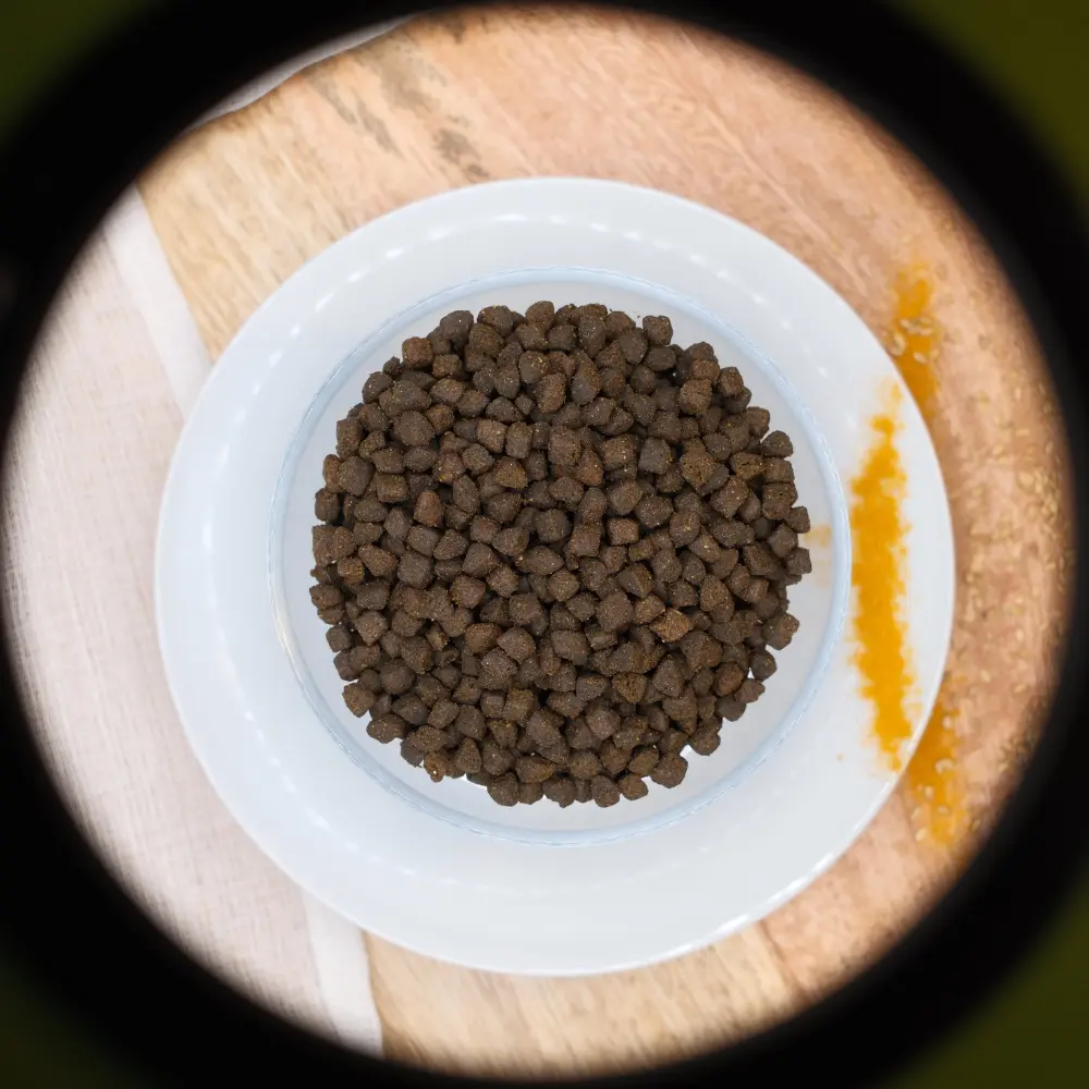 🐱Croquettes au poulet pour chaton (junior)