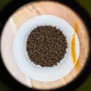 🐱Croquettes au poulet pour chaton (junior)