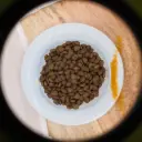 🐱 Croquettes au poisson pour chat adulte