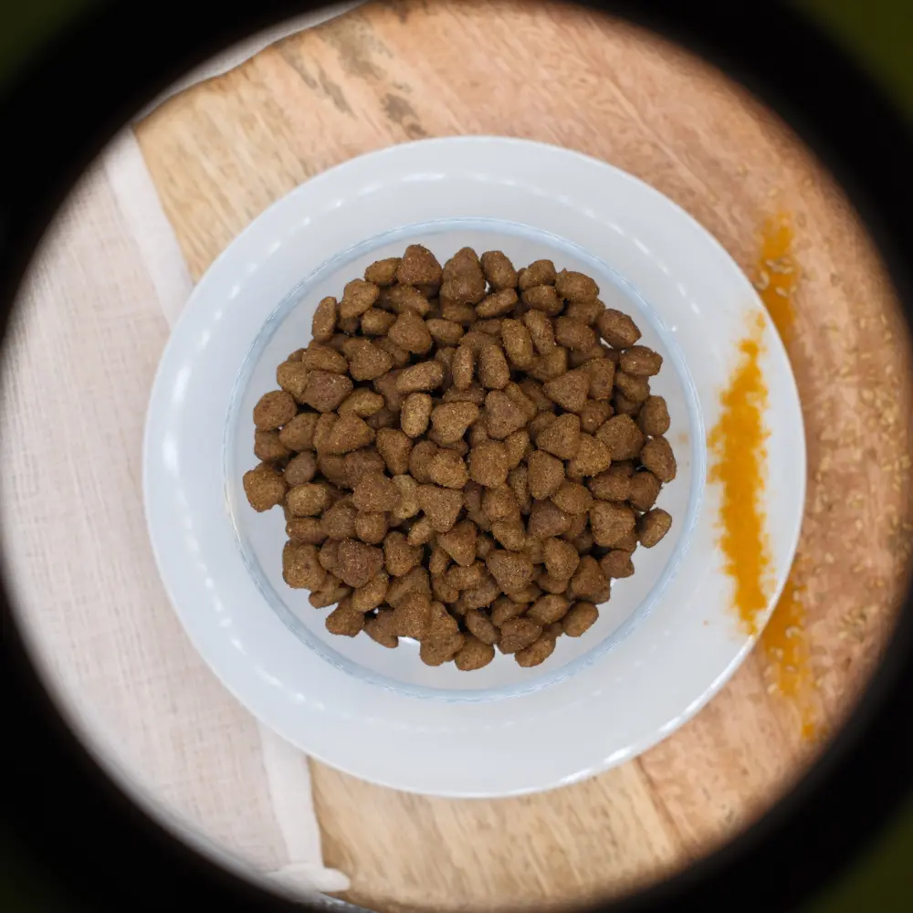 🐱 Sacchetto di crocchette “maiale adulto” senza cereali per gatti