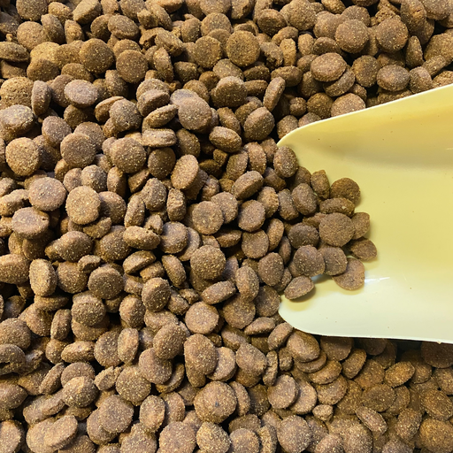 🐶 Croquettes au poulet junior pour grande taille de chien (chiot)