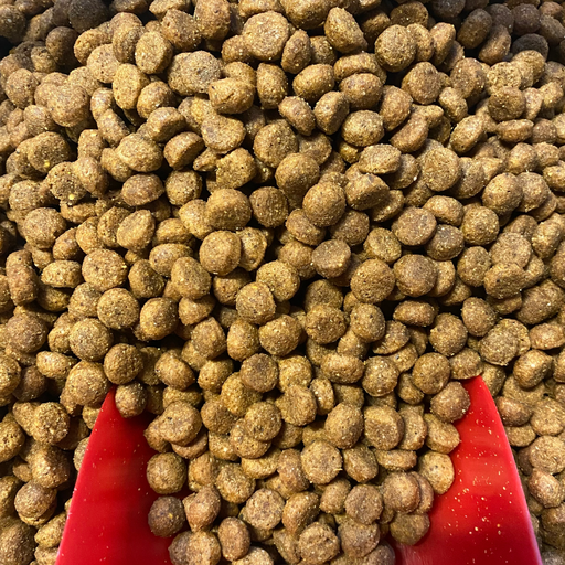 🐶 Croquettes au poulet senior pour chiens matures de toutes races